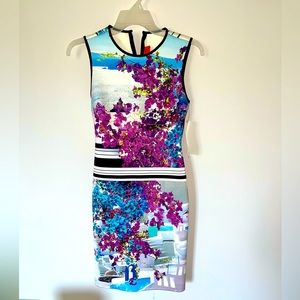 Clover Canyon “ Santorini Print Dress “ 🍇